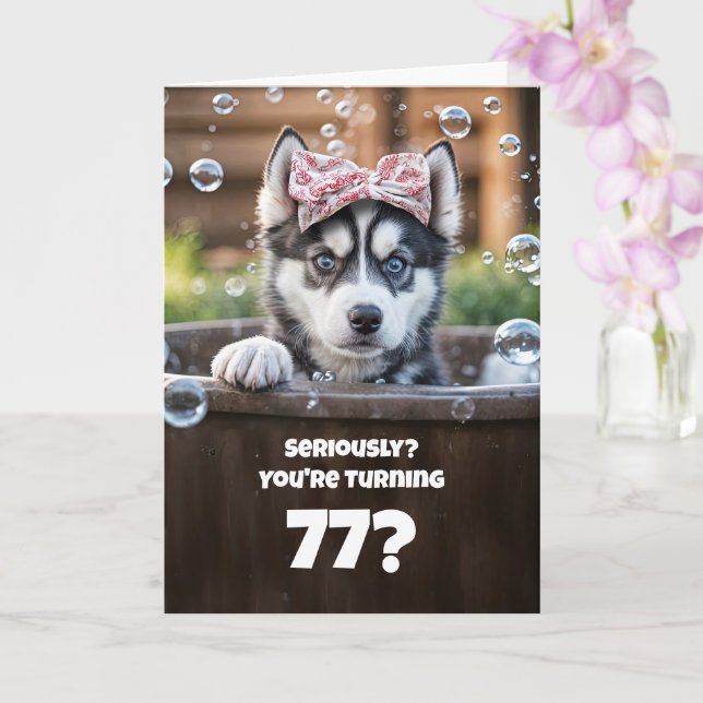 Tarjeta 77th Cute and Funny Happy Birthday Husky (Orquídea)