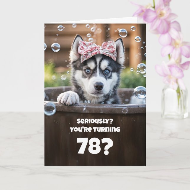 Tarjeta 78th Cute and Fun Happy Birthday Husky Dog (Orquídea)