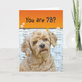 Tarjeta 79.º caniche marrón de cumpleaños en mimbre
