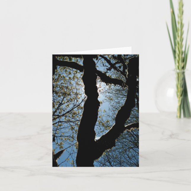 TARJETA 7.ª (Anverso)