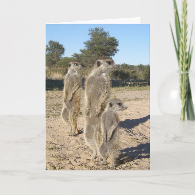 Tarjeta 7 de KMP - Aztecas (Anverso)