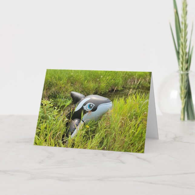 Tarjeta 7"x5" Folded Card || Sage Creek Orca (Anverso)