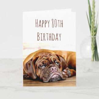 Tarjeta 80.º cumpleaños Perro triste Manténgase Humor inqu