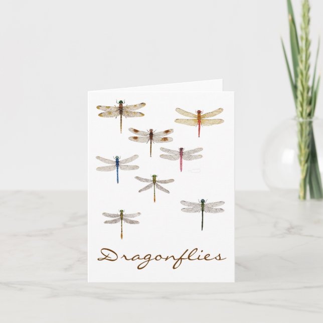 Tarjeta 8 Dragonflies (Anverso)