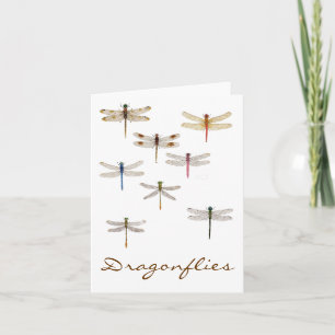 Tarjeta 8 Dragonflies