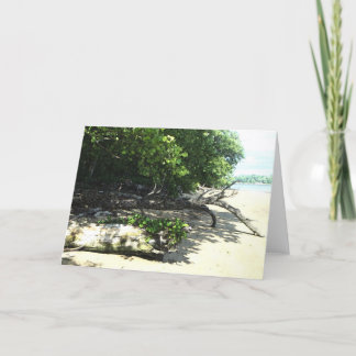 Tarjeta 8x10 trenzado 2