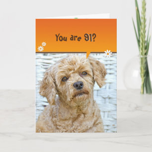 Tarjeta 91 cumpleaños caniche marrón en mimbre