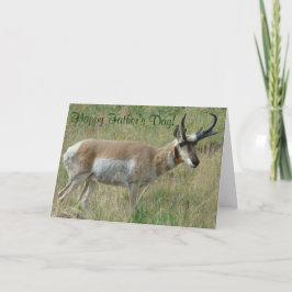 Tarjeta A12 Piel Antelope Pronghorn