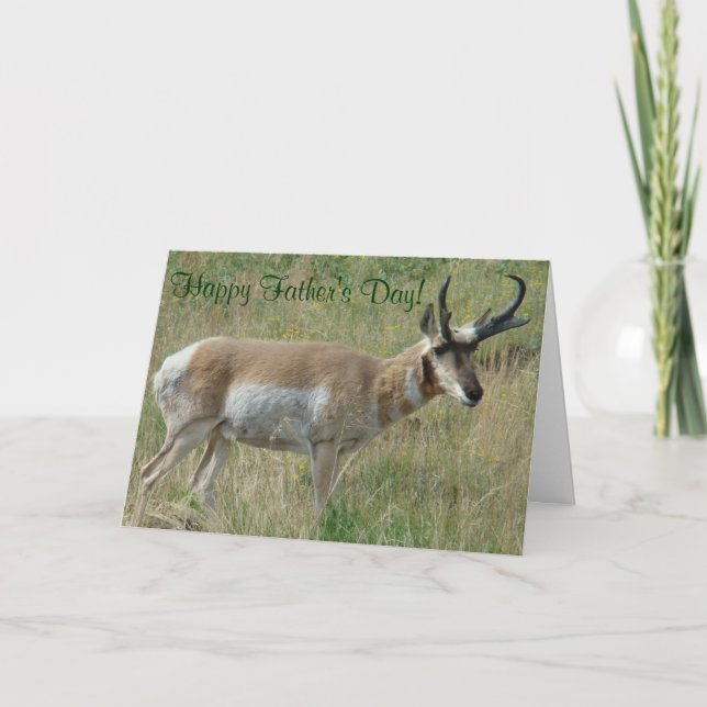Tarjeta A12 Piel Antelope Pronghorn (Anverso)