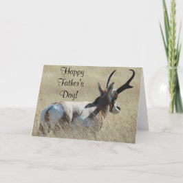 Tarjeta A14 Póliza Sunshine Antelope Pronghorn