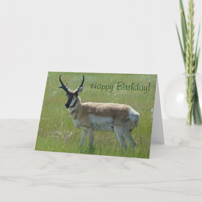 Tarjeta A36 Pronghorn Antelope Big Buck (Anverso)