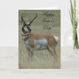 Tarjeta A37 Antelope Pronghorn Hornos Crocidos de pavo