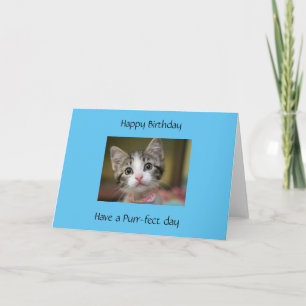 Tarjeta A cute kitten with green eyes