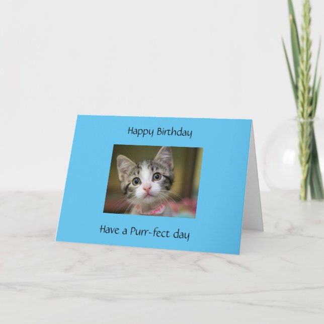 Tarjeta A cute kitten with green eyes (Anverso)