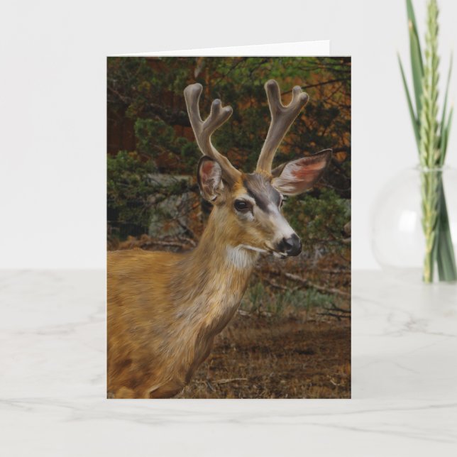 TARJETA A DEER FRIEND (Anverso)