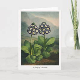 Tarjeta A Group of Auriculas — Modern Botanical Reinterpre