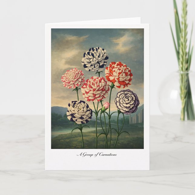 Tarjeta A Group of Carnations — Modern Botanical Reinterpr (Anverso)