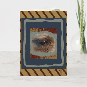 Tarjeta A los ojos del desierto