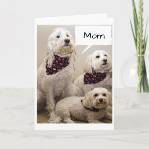TARJETA A MAMÁ LE DESEAN UN FELIZ DÍA DE MADRE POR 3 PUPS