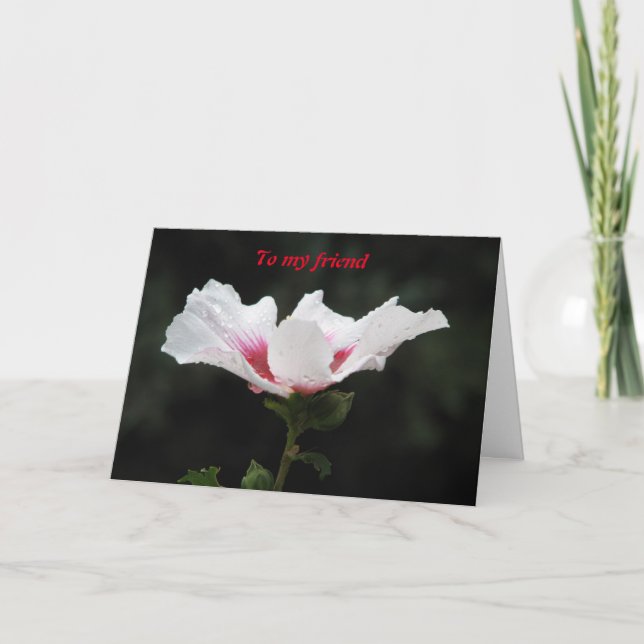 Tarjeta A mi amigo (Anverso)