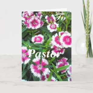 Tarjeta A Pastor, Mujer