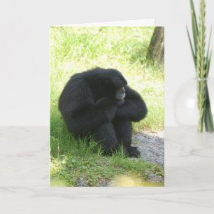 Tarjeta A veces incluso los monos tienen días malos