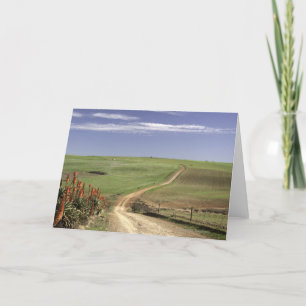 Tarjeta Aalojos floridos cerca de Caledon, Cabo Occidental