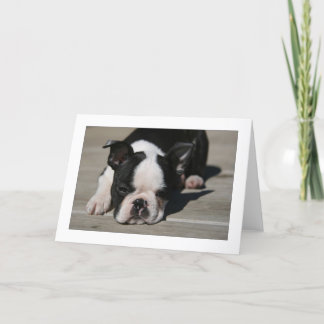 Tarjeta Abadejos de Howie