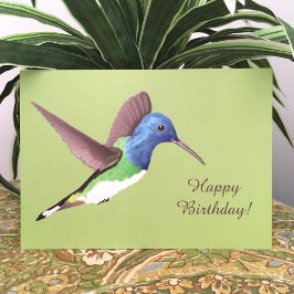 Tarjeta Abandonar a Jacobin Hummingbird - cumpleaños trans