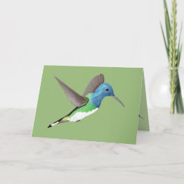 Tarjeta Abandonar a Jacobin Hummingbird - transparente.