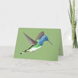 Tarjeta Abandonar a Jacobin Hummingbird - transparente.