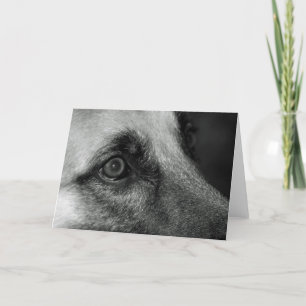 Tarjeta Abby German Shephed Watchful Eye Blank Card