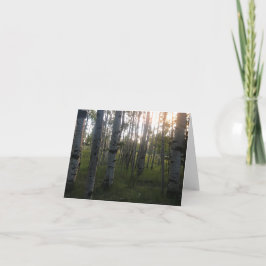 Tarjeta Abedules por la mañana