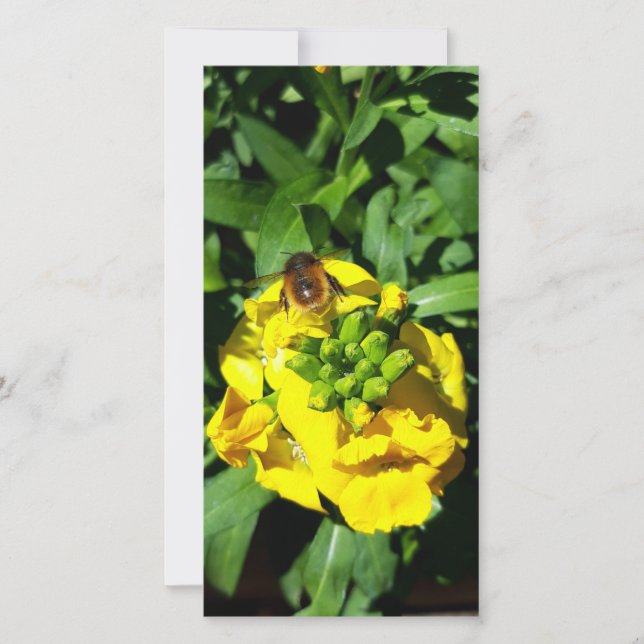 Tarjeta Abeja a las flores amarillas (Anverso)
