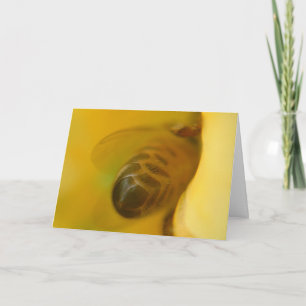Tarjeta Abeja de la miel
