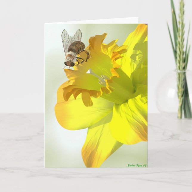 Tarjeta Abeja de la primavera (Anverso)