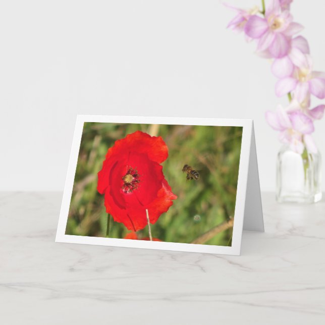 Tarjeta Abeja de miel en amapola roja (Orquídea)