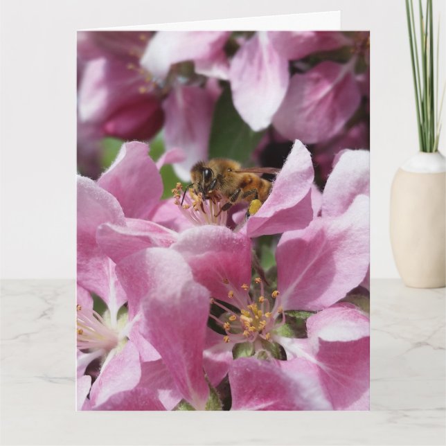 Tarjeta Abeja de miel en flor con cotización (Anverso)