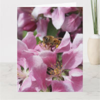 Abeja de miel en flor con cotización