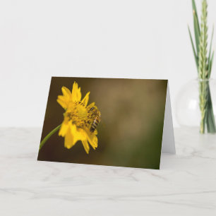 Tarjeta Abeja de miel sobre la flor amarilla