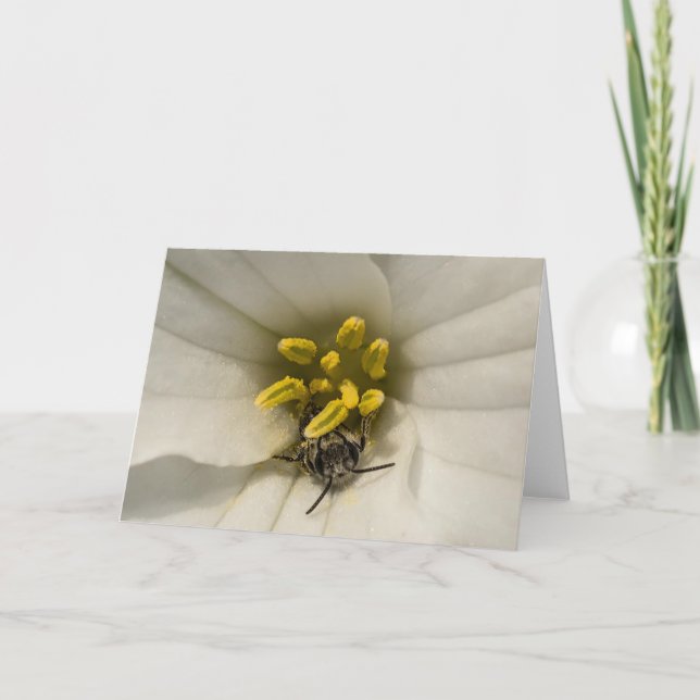 Tarjeta Abeja dentro de un Wildflower Notecard del (Anverso)