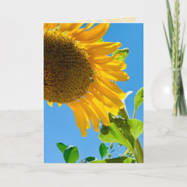 Tarjeta Abeja en el girasol 5x7 pensando en su carta
