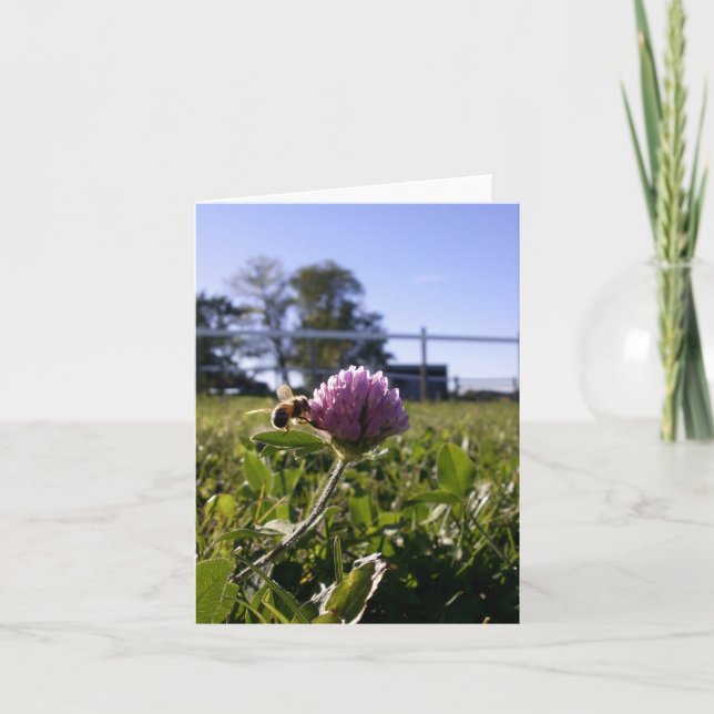 Tarjeta Abeja en el trébol Notecard (Anverso)