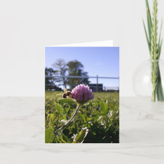 Tarjeta Abeja en el trébol Notecard