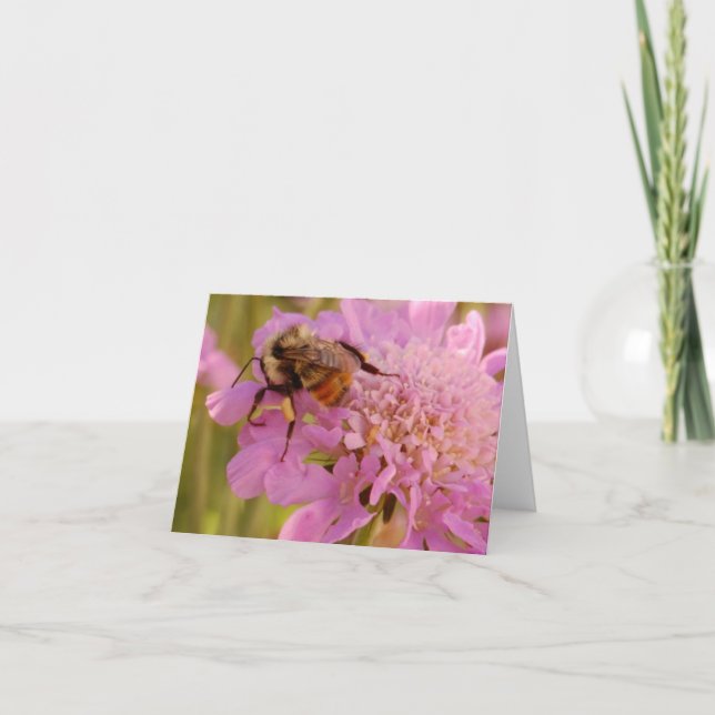 Tarjeta Abeja en la flor (Anverso)