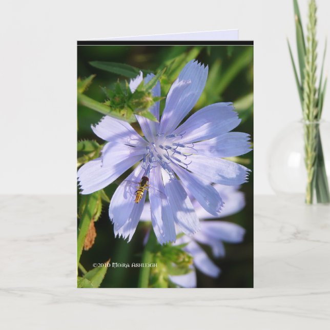 Tarjeta Abeja en un Blu salvaje (Anverso)