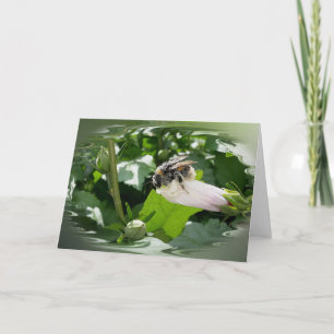 Tarjeta Abeja en verano