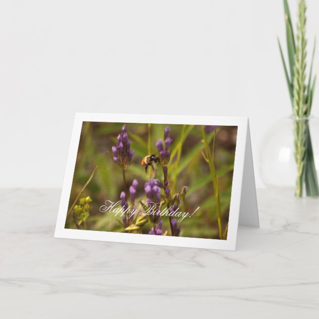 Tarjeta Abeja enérgica; Feliz cumpleaños (Anverso)