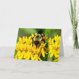 Tarjeta Abeja festejando en flores silvestres de hierba de