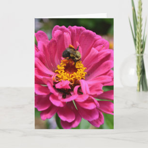 Tarjeta Abeja melífera elegante flor de mum floral rosa